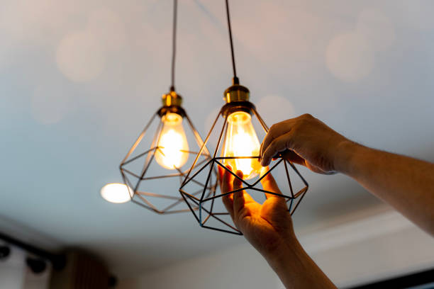 Best Electrician for Home Renovation  in Poseyville, IN